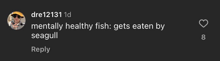 instagram comment, captioned: mentally healthy fish: gets eaten by seagull