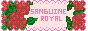 sanguine royal