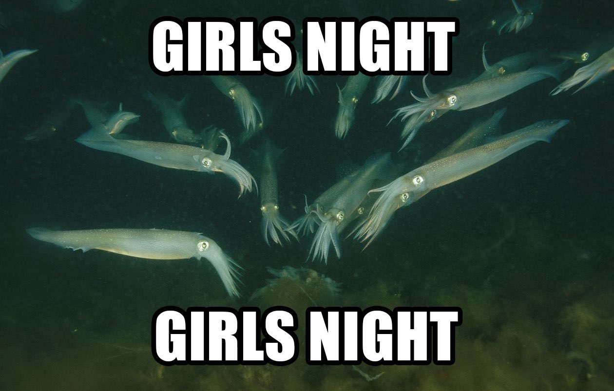meme of a bunch of deepsea fish staring at the camera, captioned, girls night.