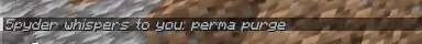minecraft chat - 5pyder whispers to foolish, 'perma purge'