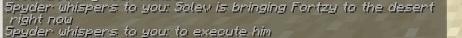 minecraft screenshot - 5pyder whispers to you: 'solev is bringing fortsy to the desert right now to execute him.'